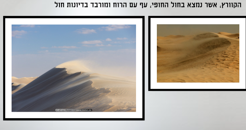 גילגולי הקוורץ by gazaleh - Illustrated by גזאלה מרעי והודא אבו נגם - Ourboox.com