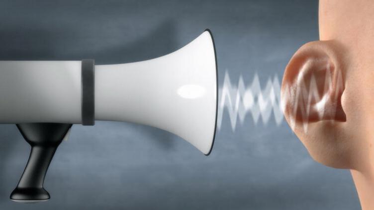 أهميه الضوء في حياة الكائنات الحية by rafat barkat - Ourboox.com