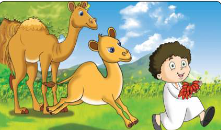 قصة الأصدقاء في المزرعة