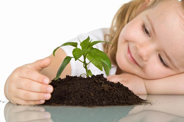 загадки про рослини by ira - Ourboox.com