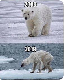 TEENS ON POLE/ PAST,NOW and FUTURE by Adile ZENGİNER - Illustrated by  Yusuf Kalkavan Anadolu Lisesi - Ourboox.com