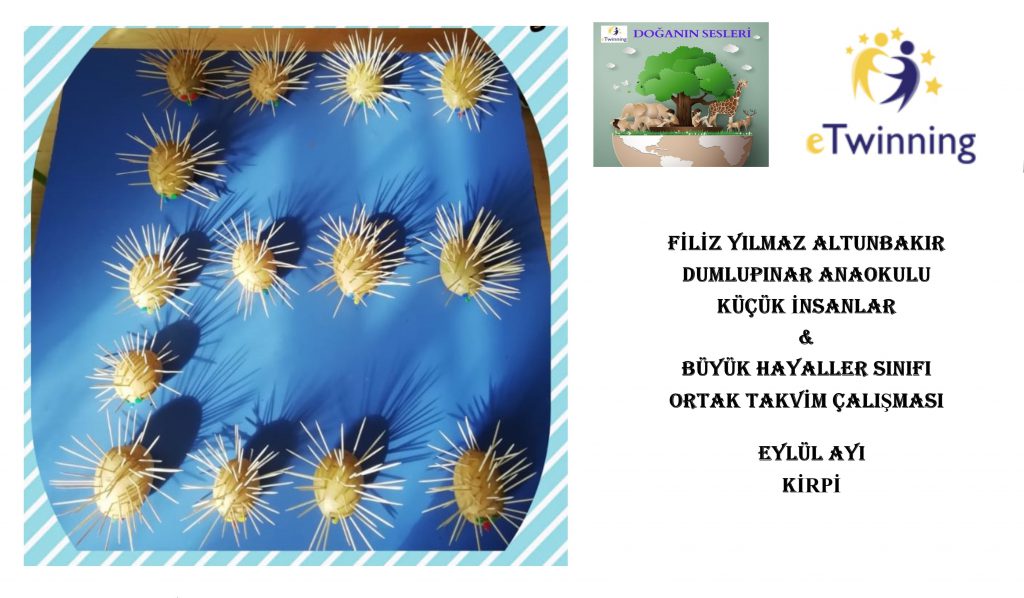 DOĞANIN SESLERİ ORTAK TAKVİM ÇALIŞMASI by FATMA KILIÇ - Ourboox.com