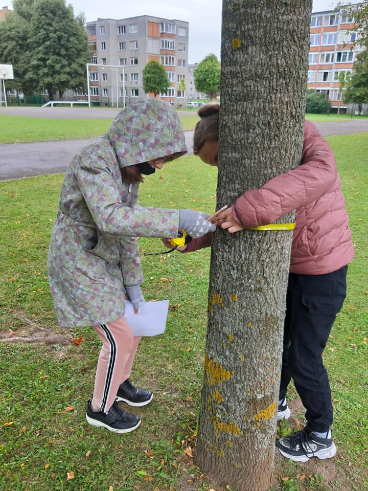 Ketvirtokų rudens veiklos by Laura Palivonienė - Ourboox.com