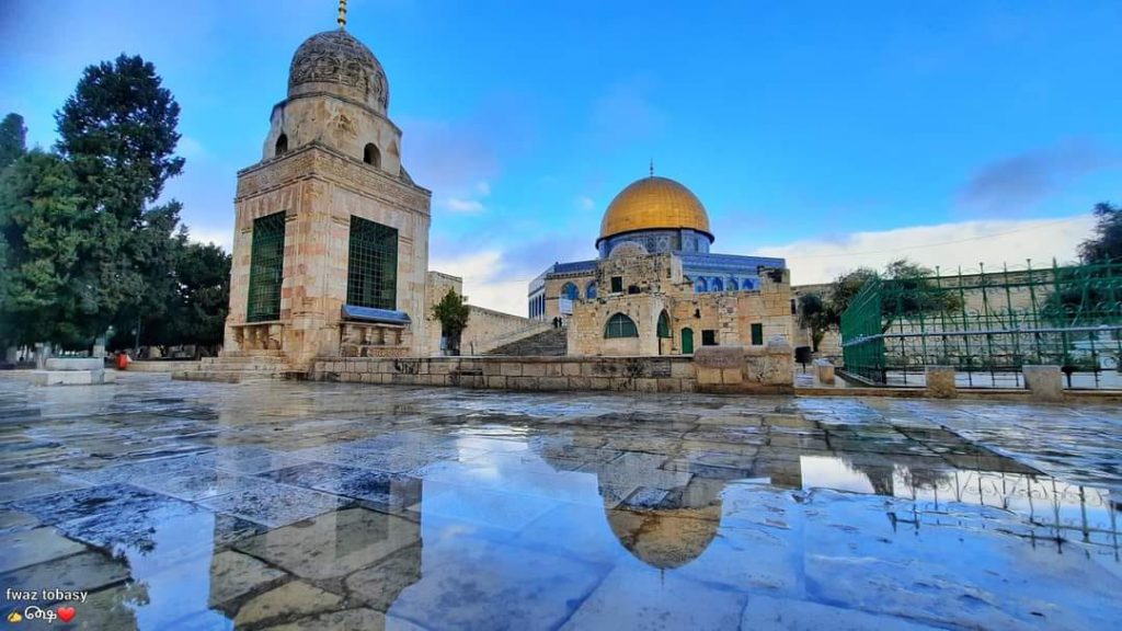 اللغة العربية by thair - Ourboox.com