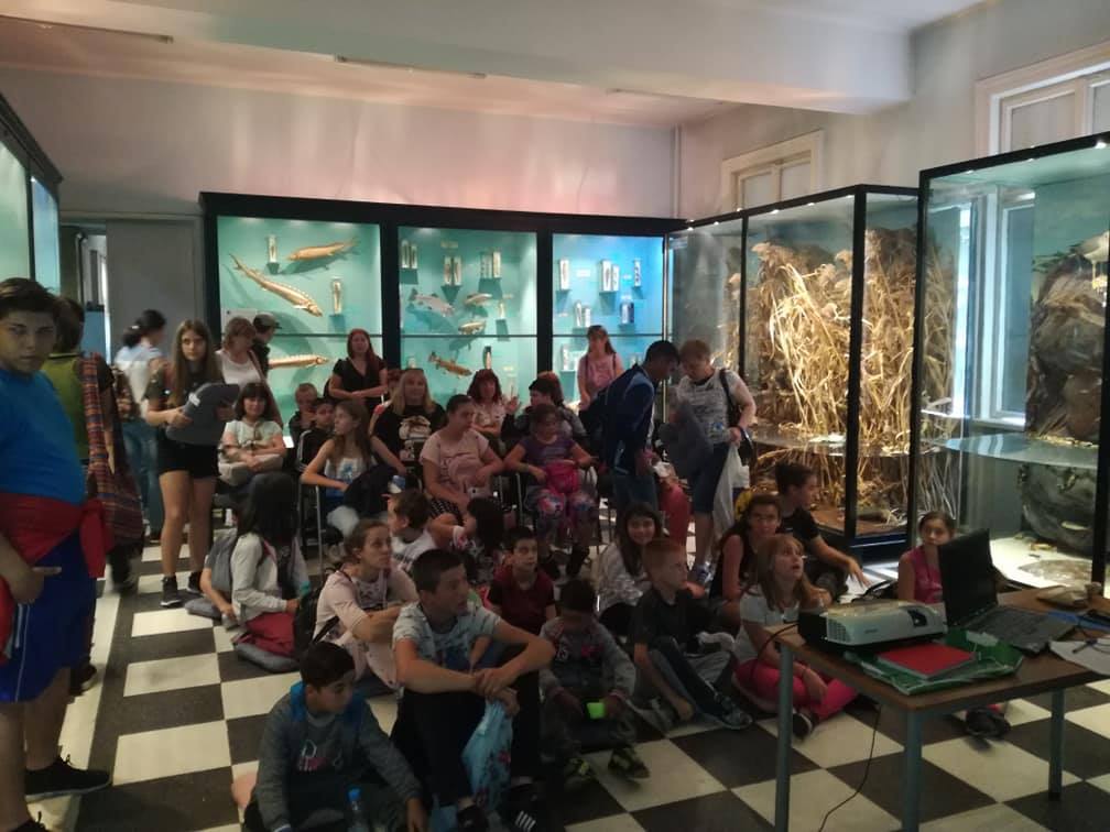 ЦСОП- Велинград паралелка IX клас учебна 2021-2022 година by Maria Kyulyumova - Ourboox.com