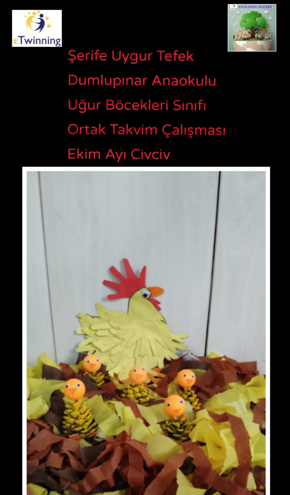 DOĞANIN SESLERİ ORTAK TAKVİM ÇALIŞMASI by FATMA KILIÇ - Ourboox.com