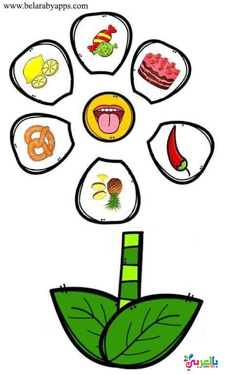 الحواس الخمس by Naseem Burqan - Ourboox.com