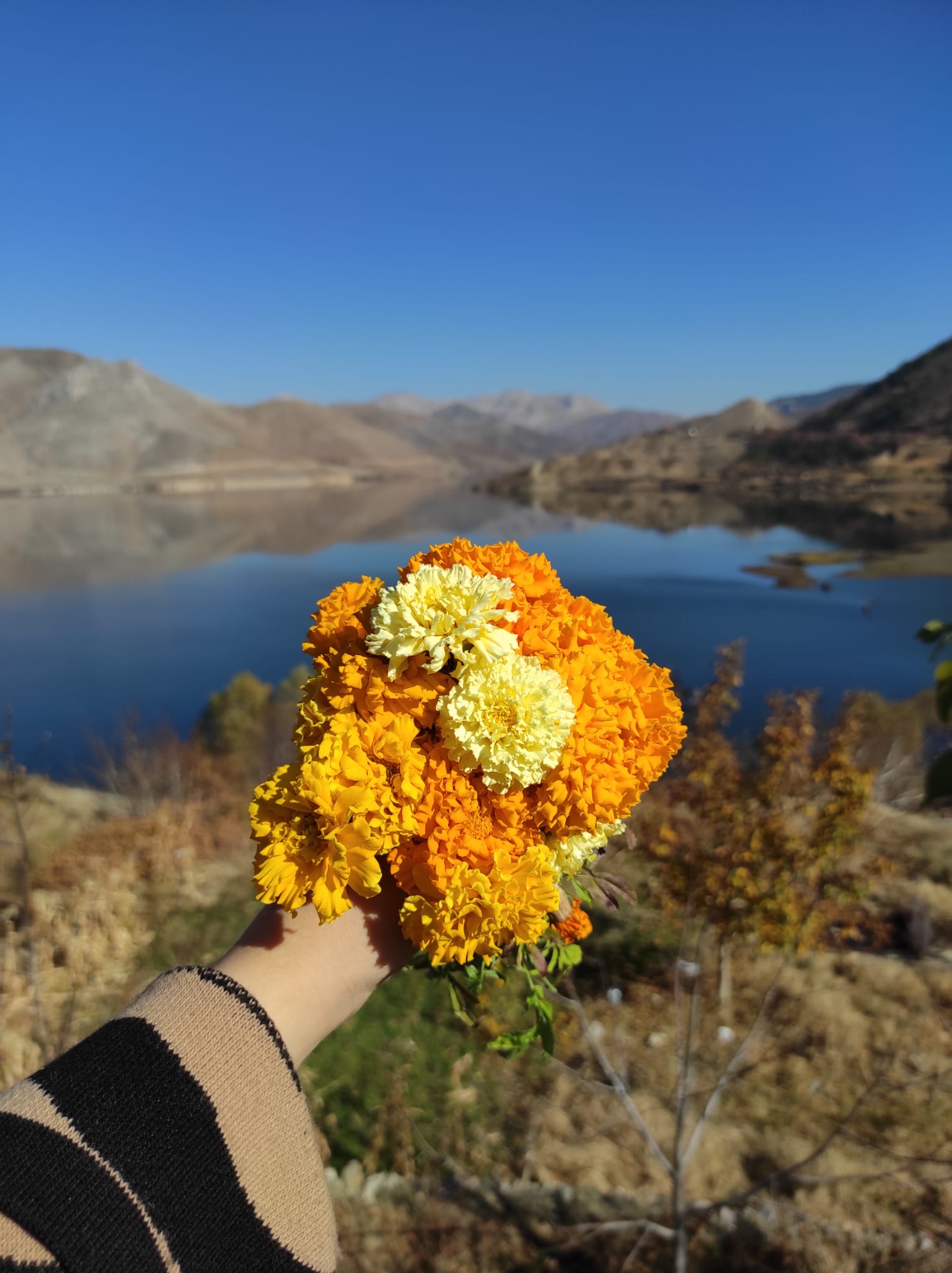 ogretim teknolojileri by elif altin - Ourboox.com