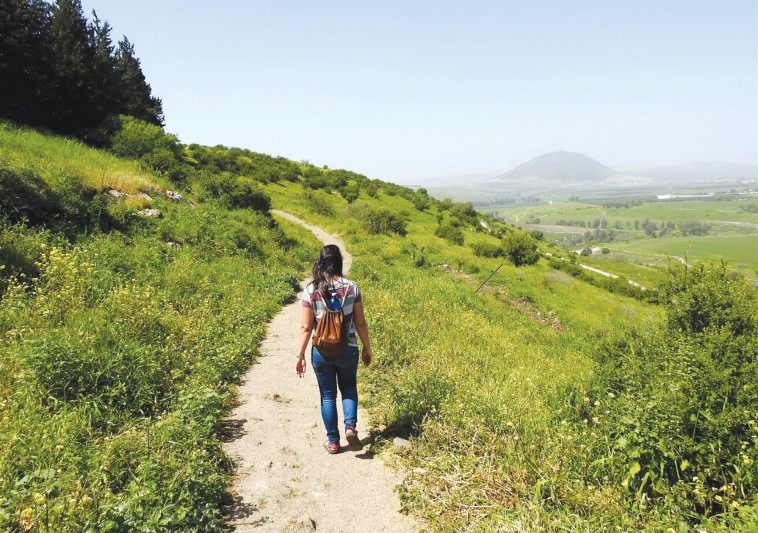 ניתוח התנהגות by hila - Illustrated by שיר זגלמן, הילה קונטנטו ושחר אורטל דבש - Ourboox.com