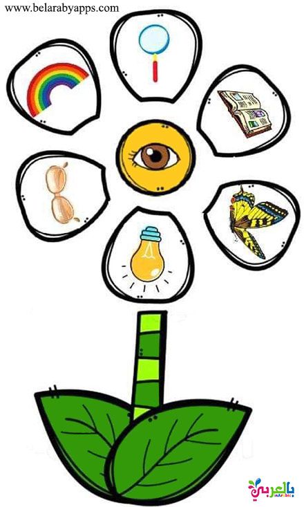 الحواس الخمس by Naseem Burqan - Ourboox.com