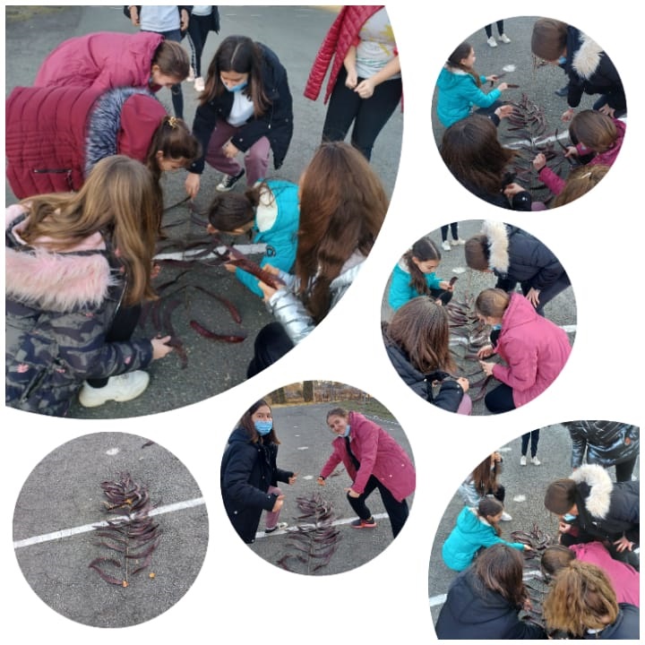 Project “ I am reading, learning and exploring” – eTwinning by Pîrlog Nicoleta - Illustrated by Pîrlog Nicoleta - Ourboox.com