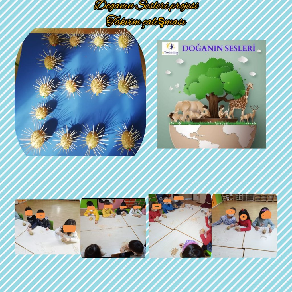 DOĞANIN SESLERİ ORTAK TAKVİM ÇALIŞMASI by FATMA KILIÇ - Ourboox.com