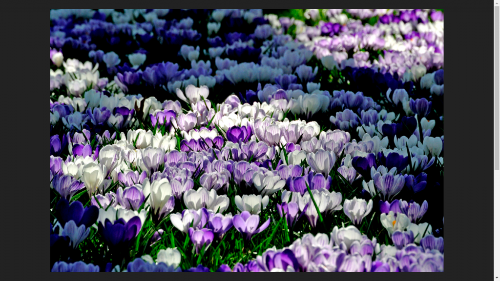 gülhan by gülhan - Ourboox.com