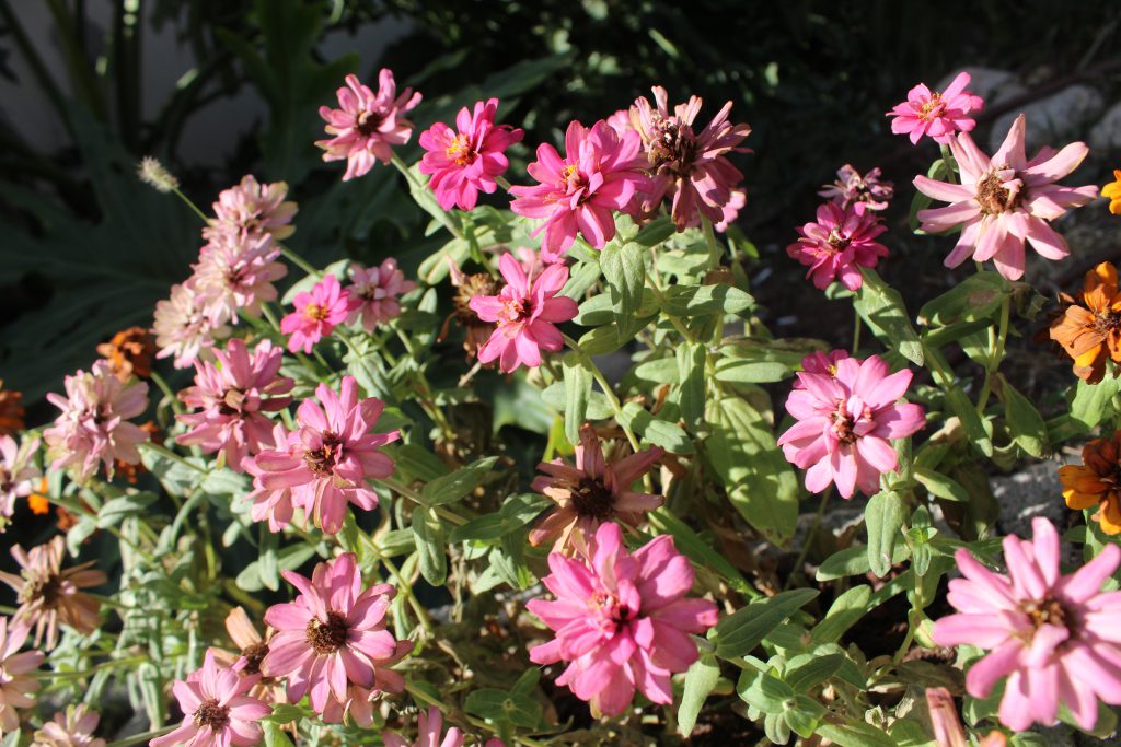 color by reem - Illustrated by reem - Ourboox.com