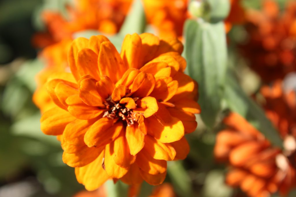 color by reem - Illustrated by reem - Ourboox.com