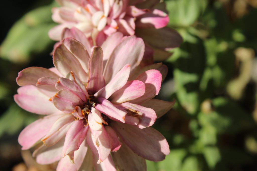 color by reem - Illustrated by reem - Ourboox.com