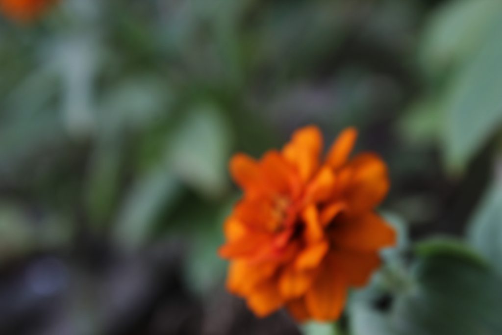 color by reem - Illustrated by reem - Ourboox.com