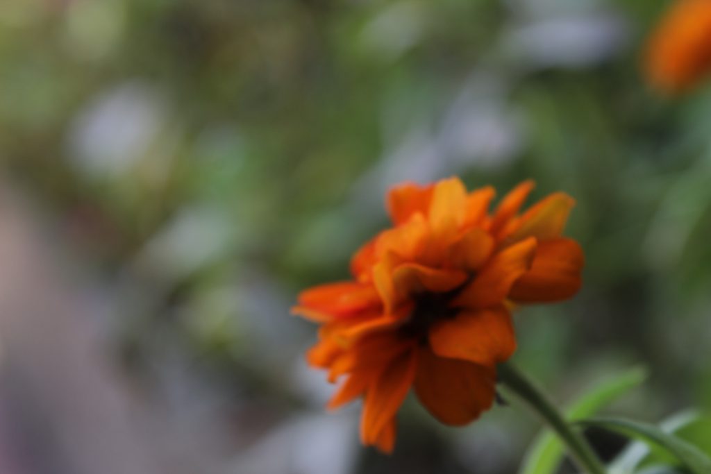 color by reem - Illustrated by reem - Ourboox.com