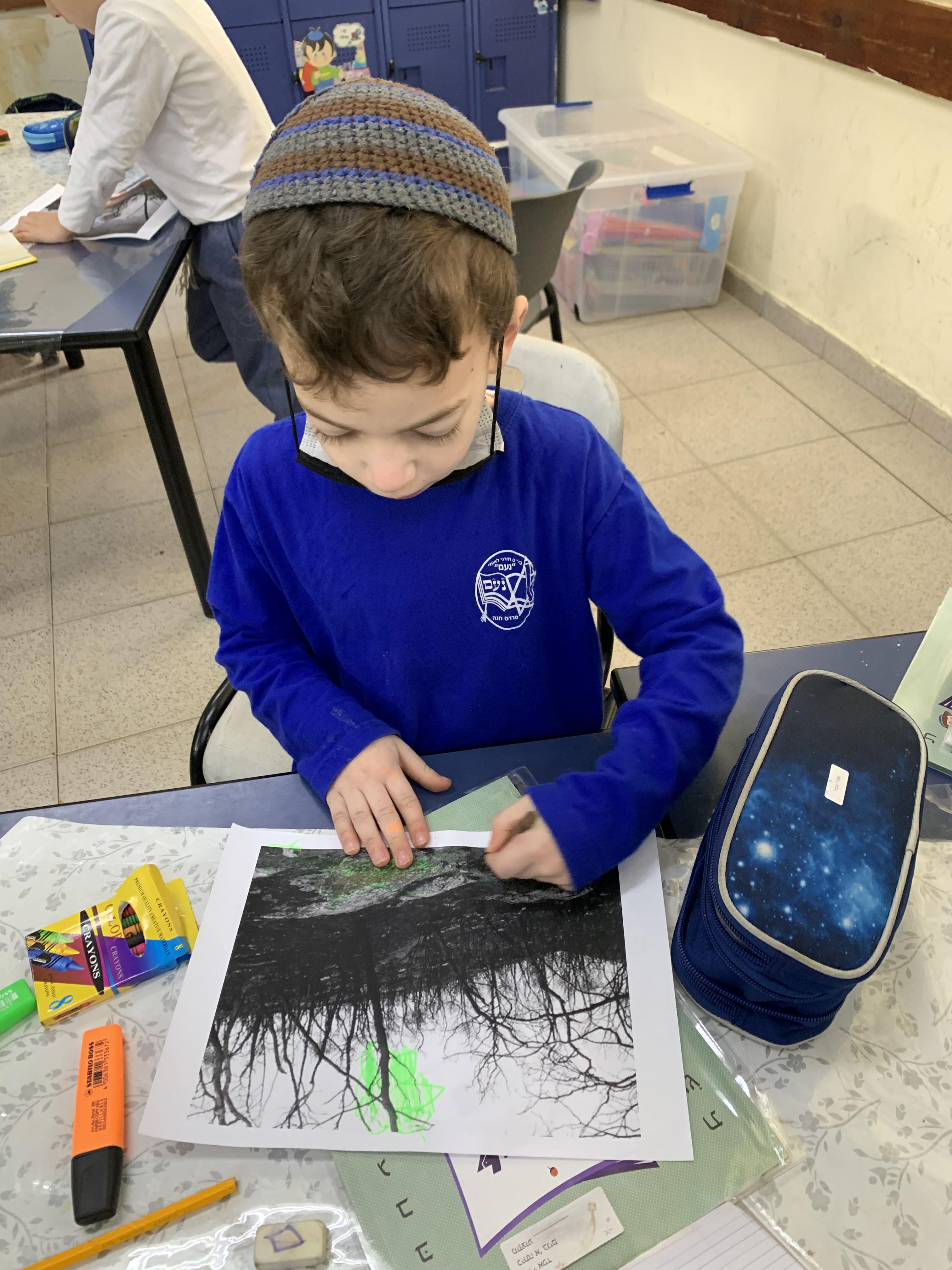 מצמיחים יערות אורן ומיטל לוי by Oren levi - Illustrated by אורן ומיטל לוי - Ourboox.com