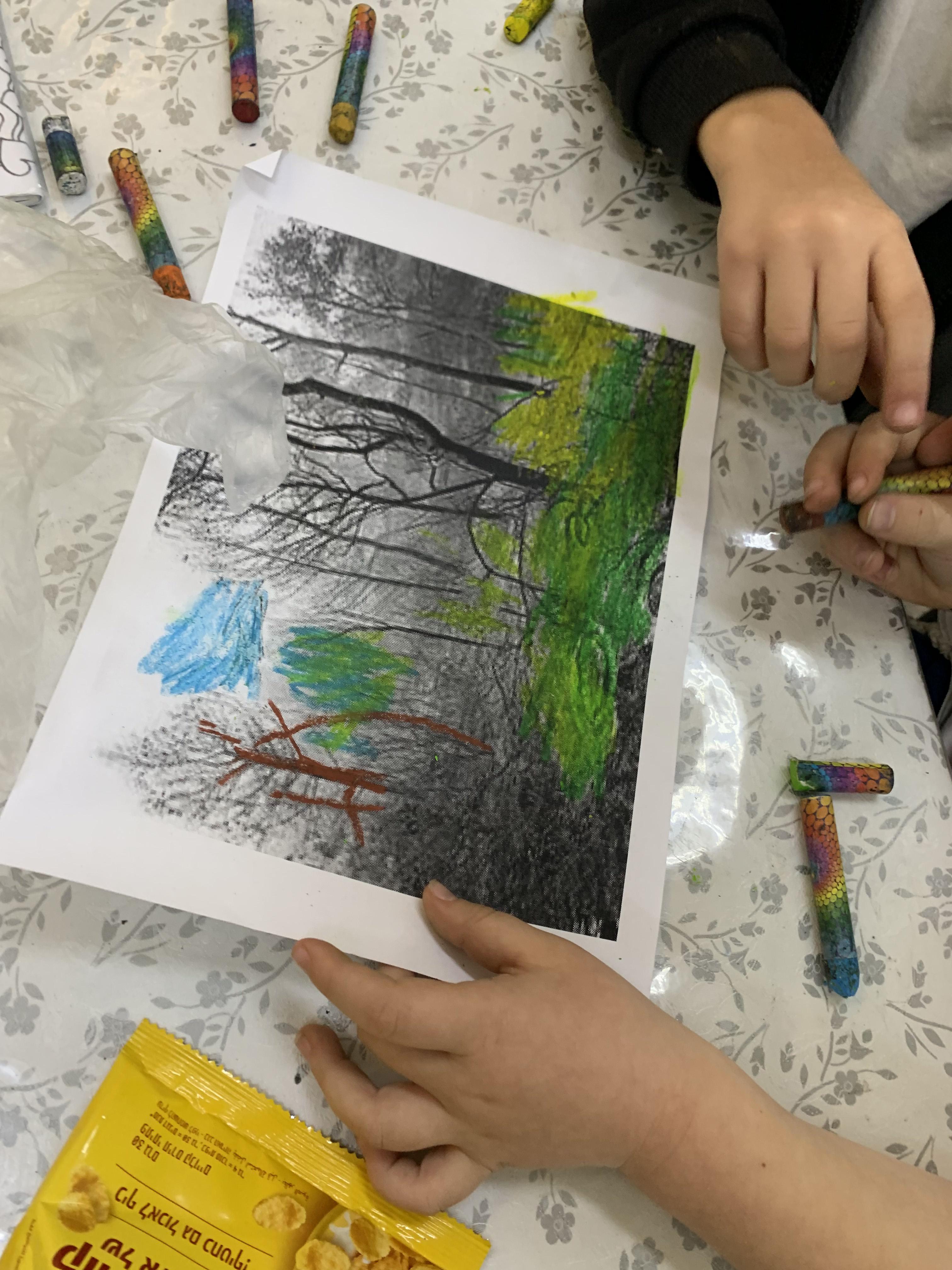 מצמיחים יערות אורן ומיטל לוי by Oren levi - Illustrated by אורן ומיטל לוי - Ourboox.com