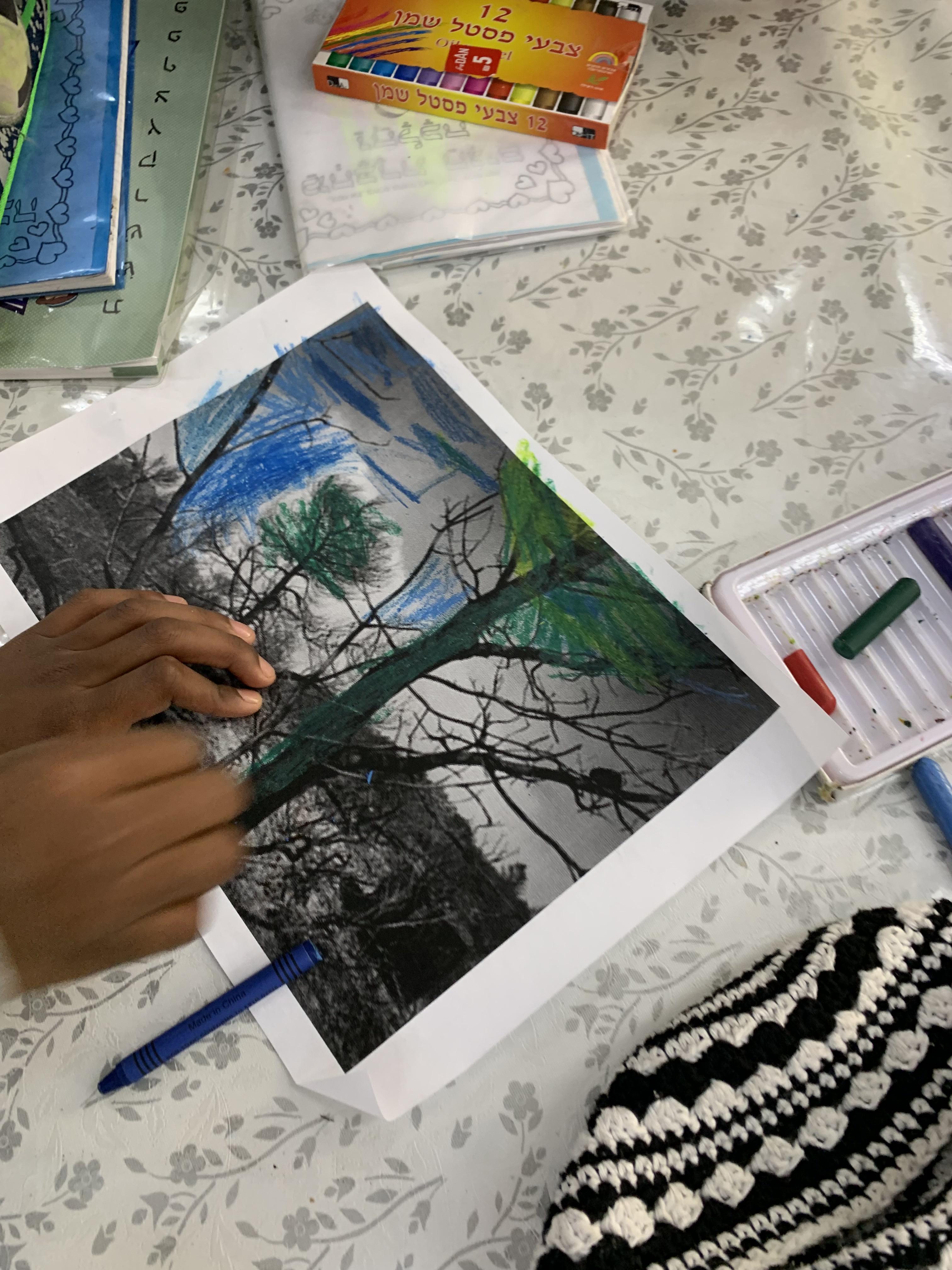 מצמיחים יערות אורן ומיטל לוי by Oren levi - Illustrated by אורן ומיטל לוי - Ourboox.com