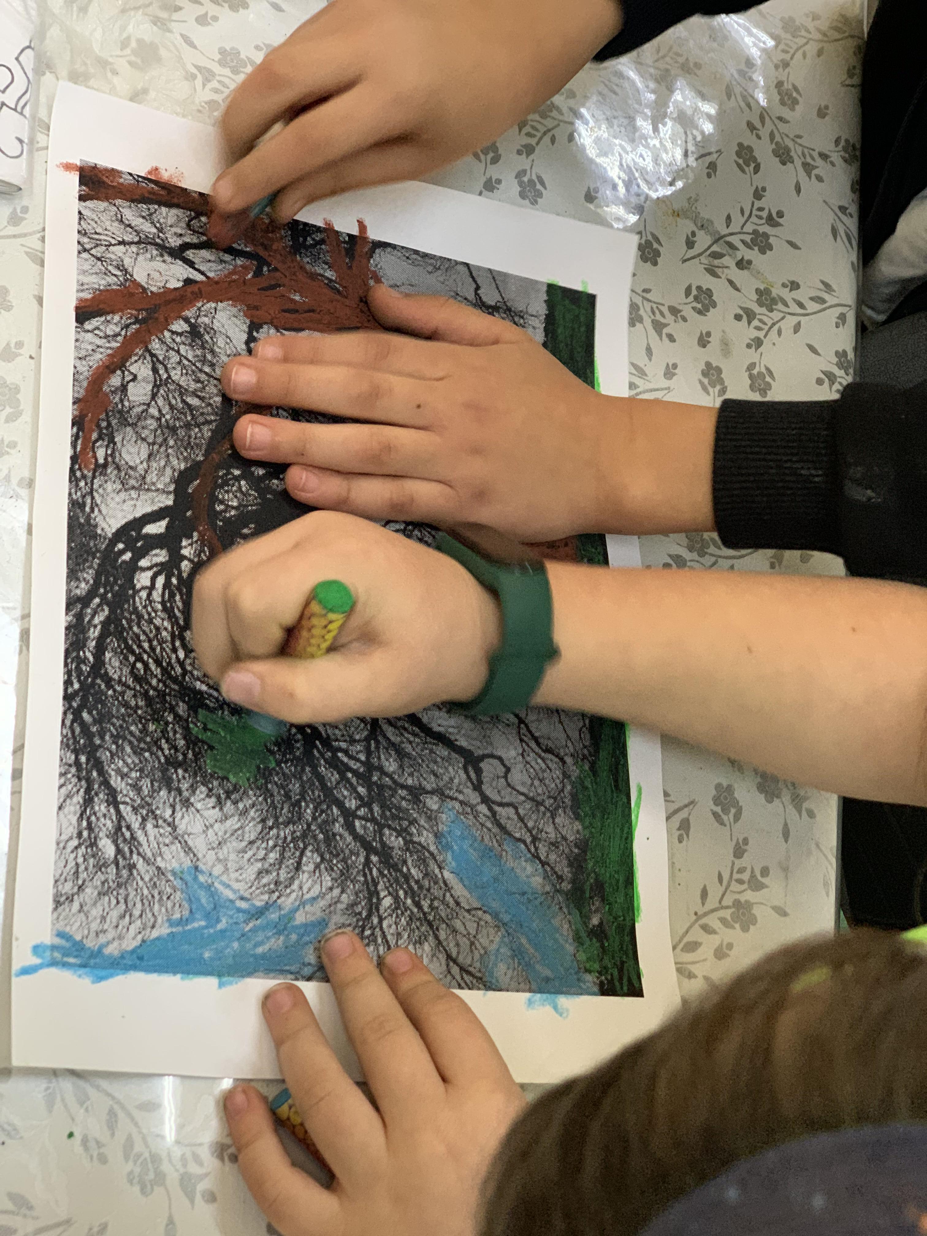 מצמיחים יערות אורן ומיטל לוי by Oren levi - Illustrated by אורן ומיטל לוי - Ourboox.com