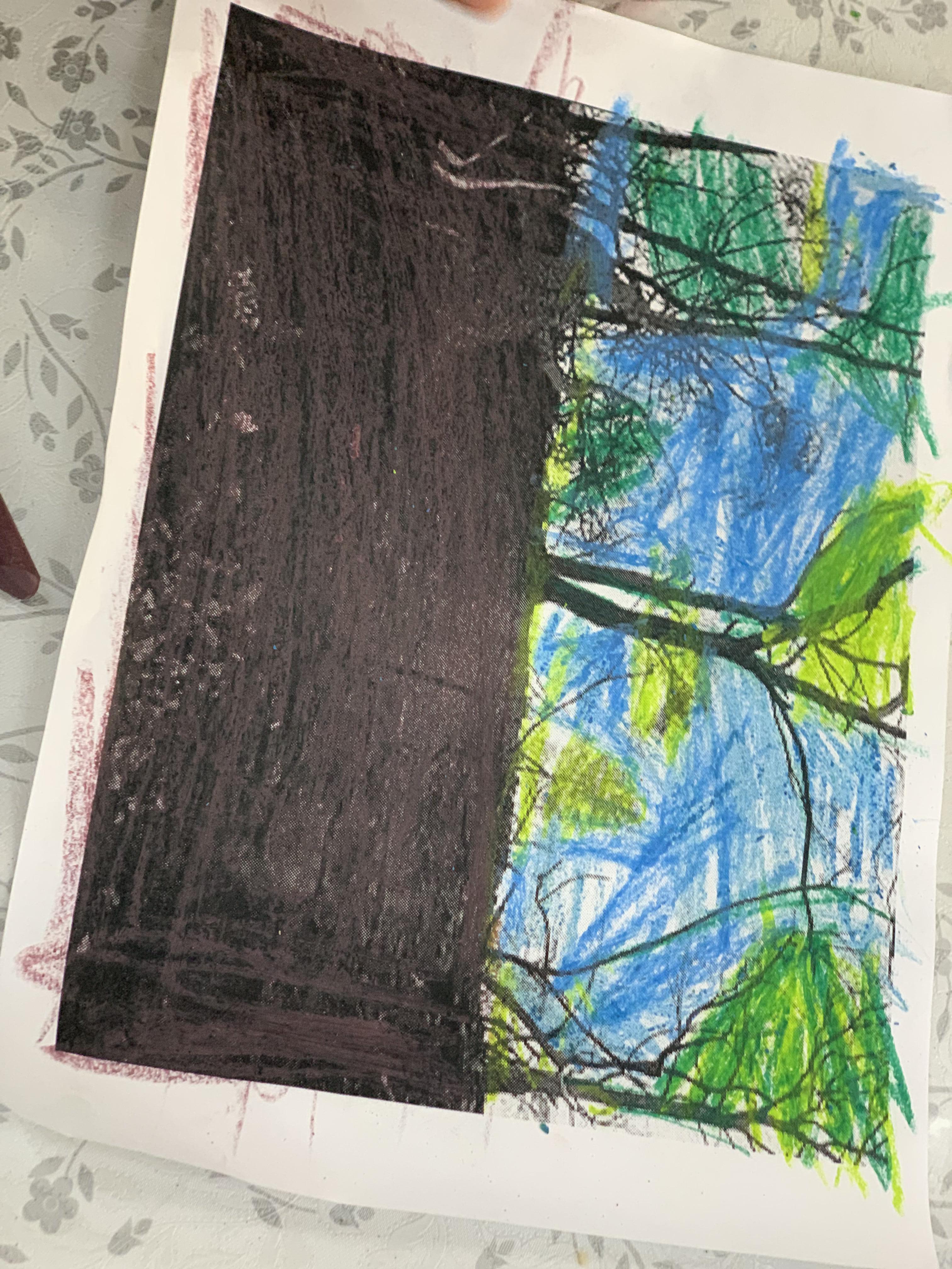 מצמיחים יערות אורן ומיטל לוי by Oren levi - Illustrated by אורן ומיטל לוי - Ourboox.com