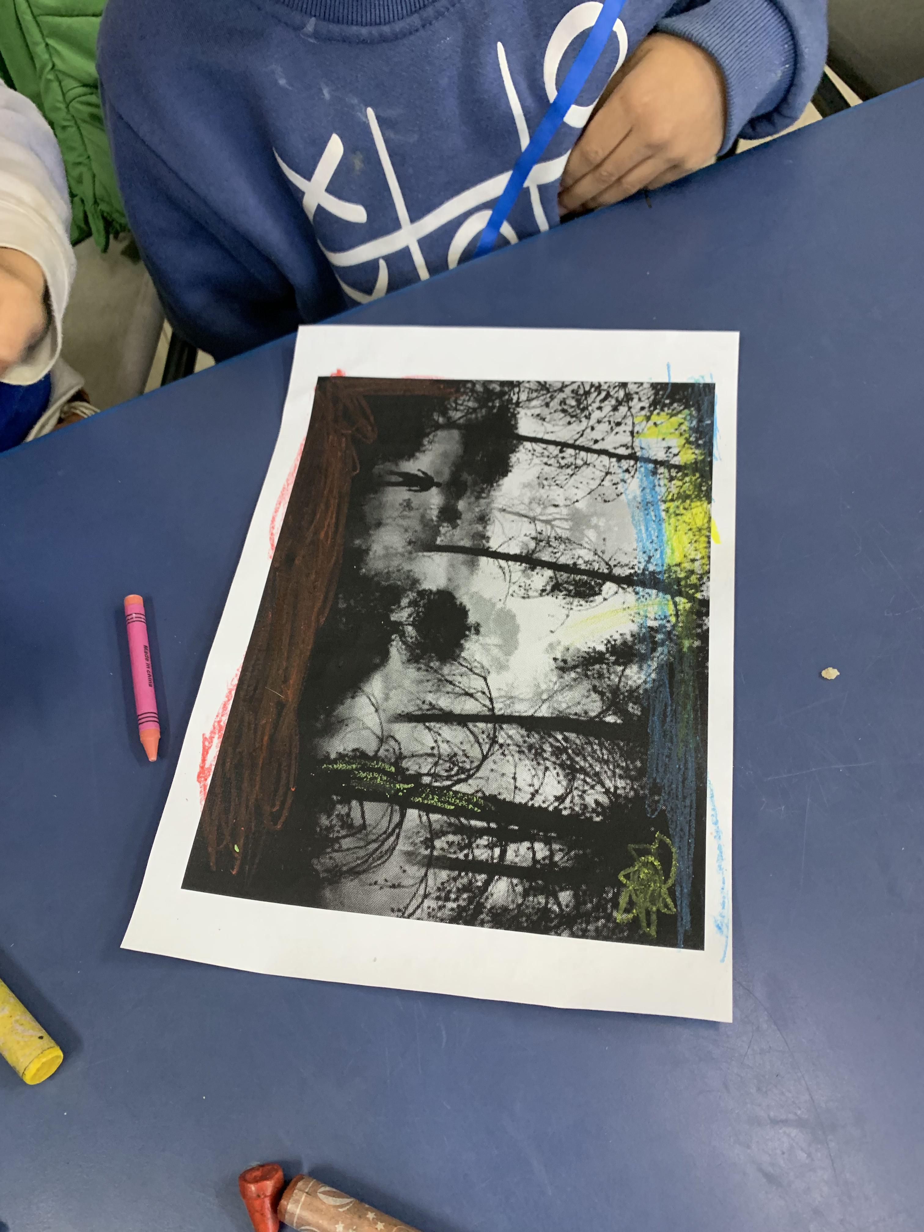 מצמיחים יערות אורן ומיטל לוי by Oren levi - Illustrated by אורן ומיטל לוי - Ourboox.com