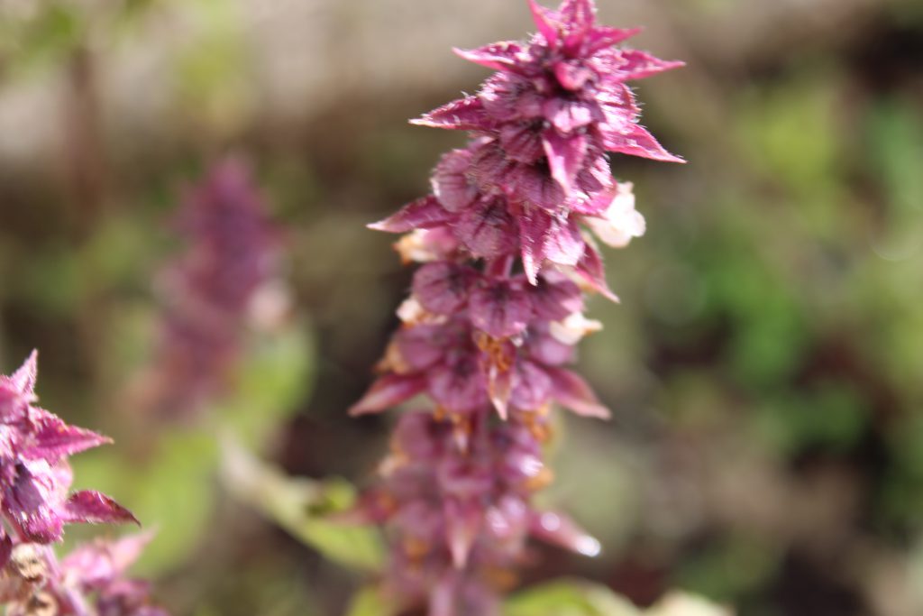 color by reem - Illustrated by reem - Ourboox.com