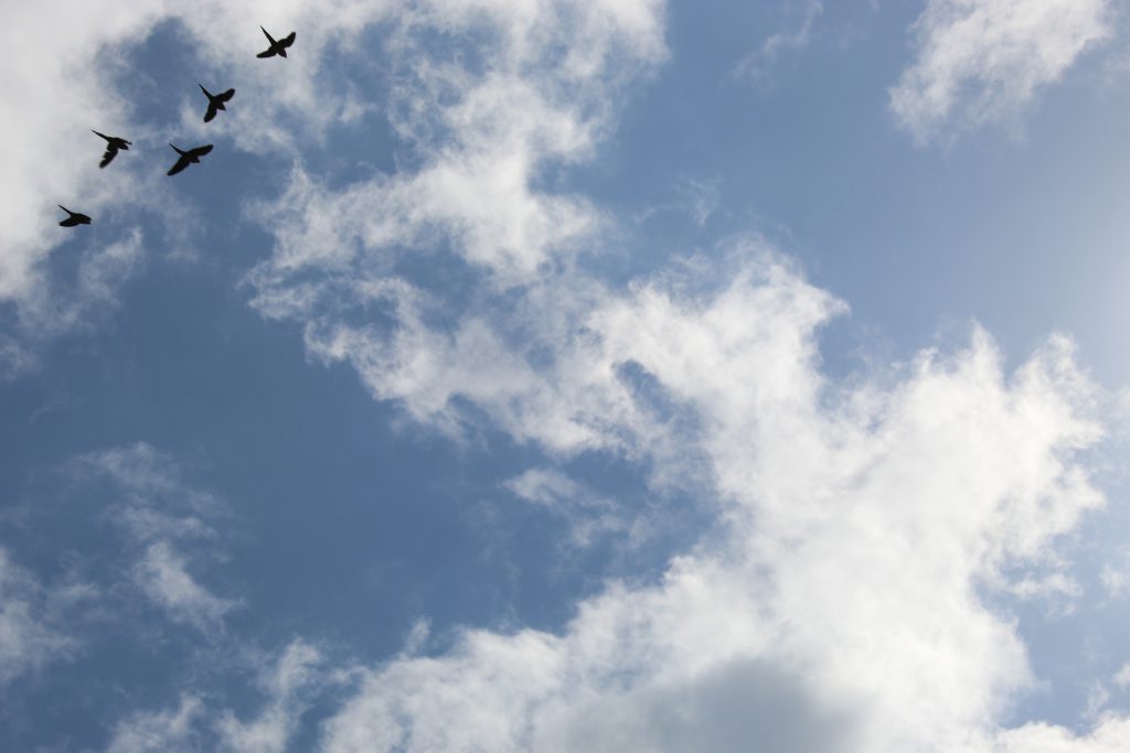 color by reem - Illustrated by reem - Ourboox.com