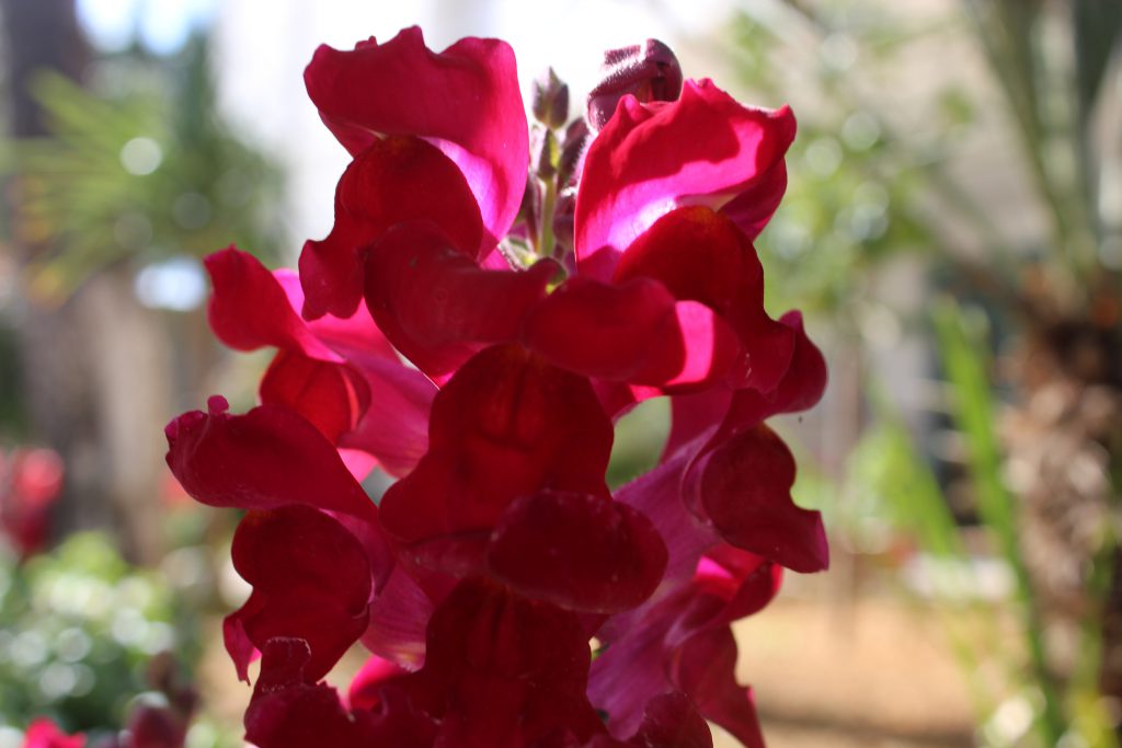 color by reem - Illustrated by reem - Ourboox.com