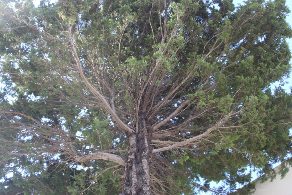 color by reem - Illustrated by reem - Ourboox.com