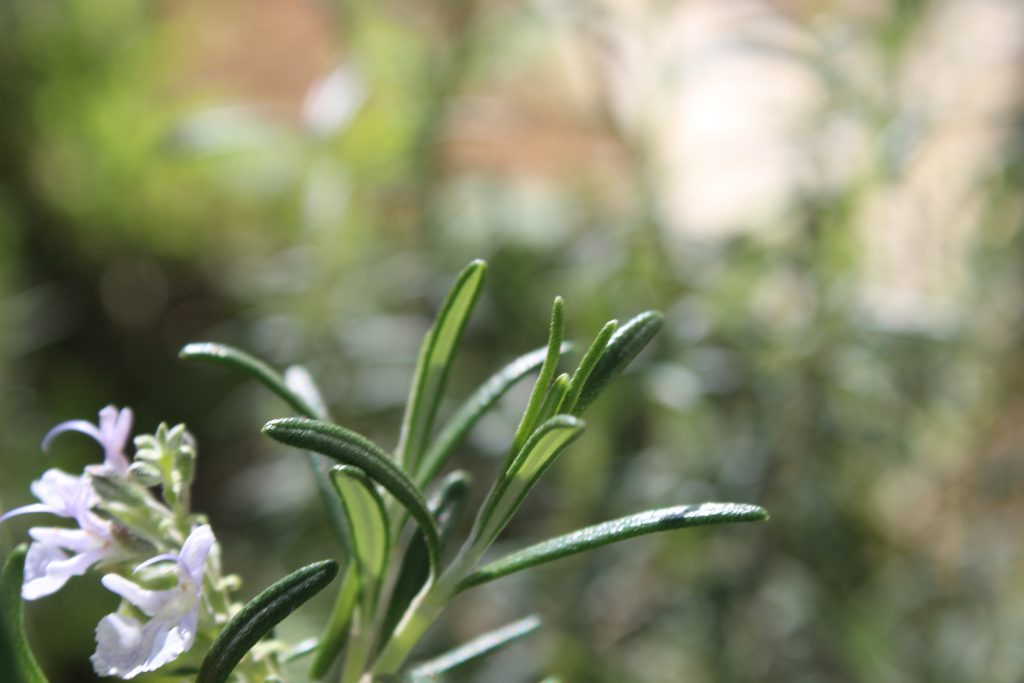 color by reem - Illustrated by reem - Ourboox.com