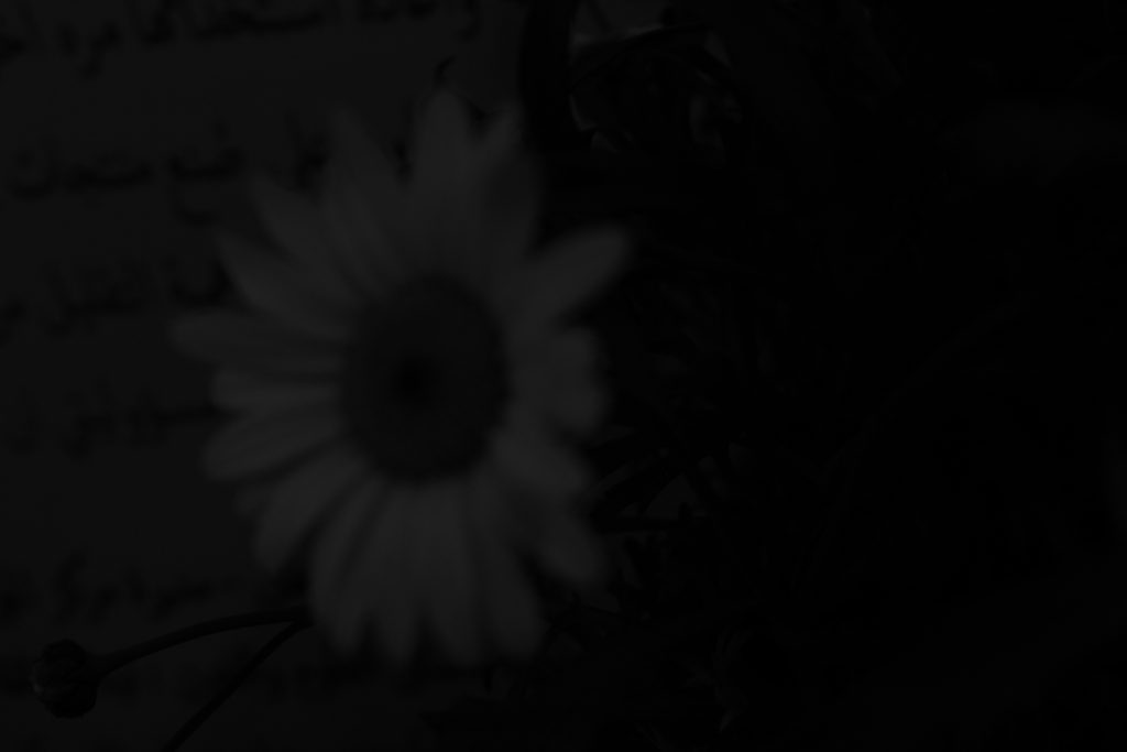 color by reem - Illustrated by reem - Ourboox.com