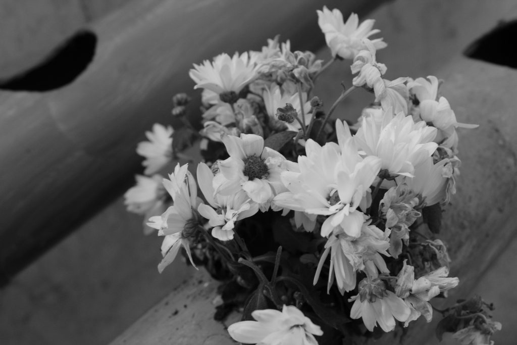 color by reem - Illustrated by reem - Ourboox.com