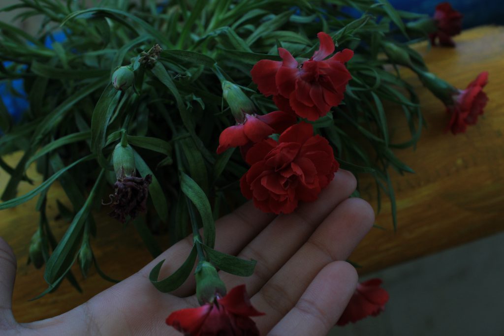 color by reem - Illustrated by reem - Ourboox.com