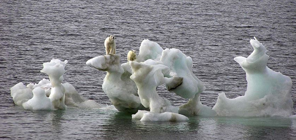 TEENS ON POLE/ PAST,NOW and FUTURE by Adile ZENGİNER - Illustrated by  Yusuf Kalkavan Anadolu Lisesi - Ourboox.com