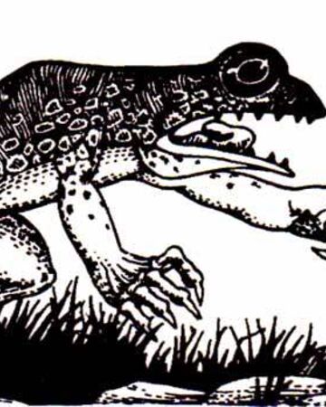 The princess and the predator frog by Rotem - Illustrated by rotem hayun - Ourboox.com