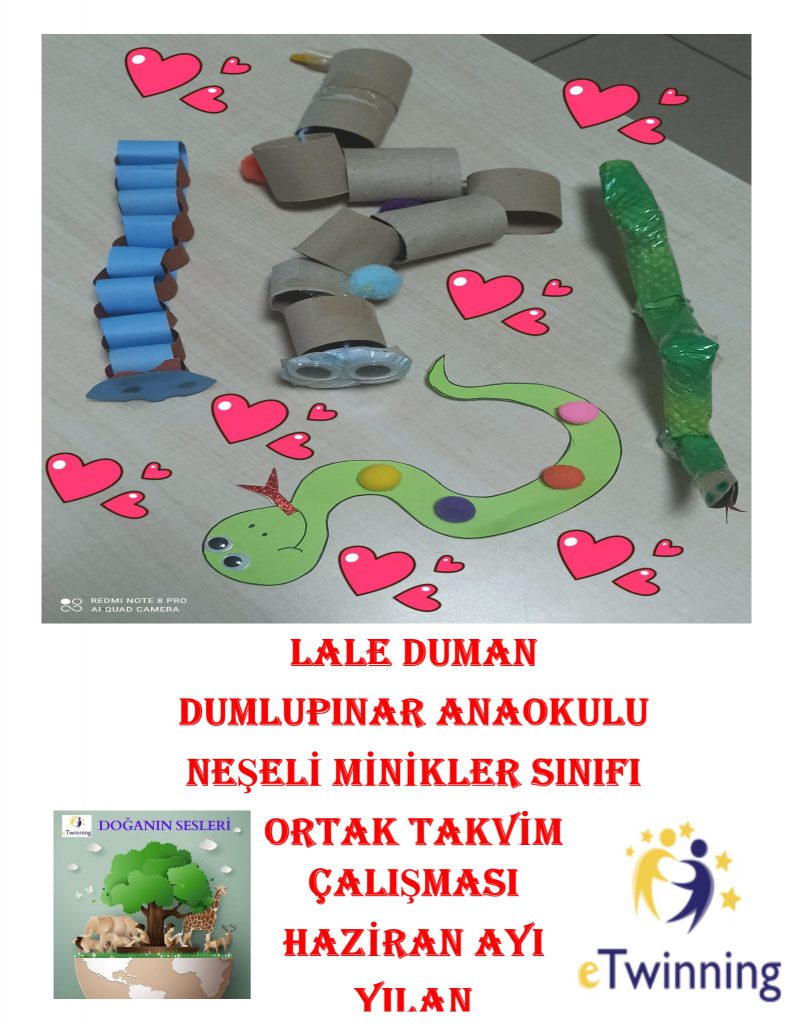 DOĞANIN SESLERİ ORTAK TAKVİM ÇALIŞMASI by FATMA KILIÇ - Ourboox.com