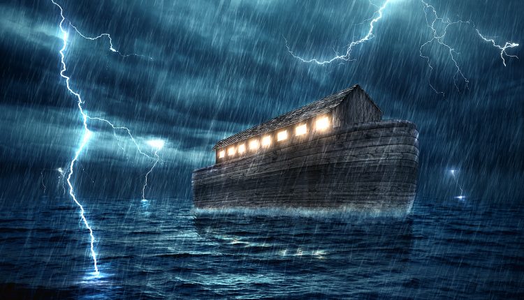 Book of umbella by Ilay Fraiman - Ourboox.com