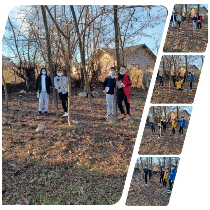 Project “ I am reading, learning and exploring” – eTwinning by Pîrlog Nicoleta - Illustrated by Pîrlog Nicoleta - Ourboox.com