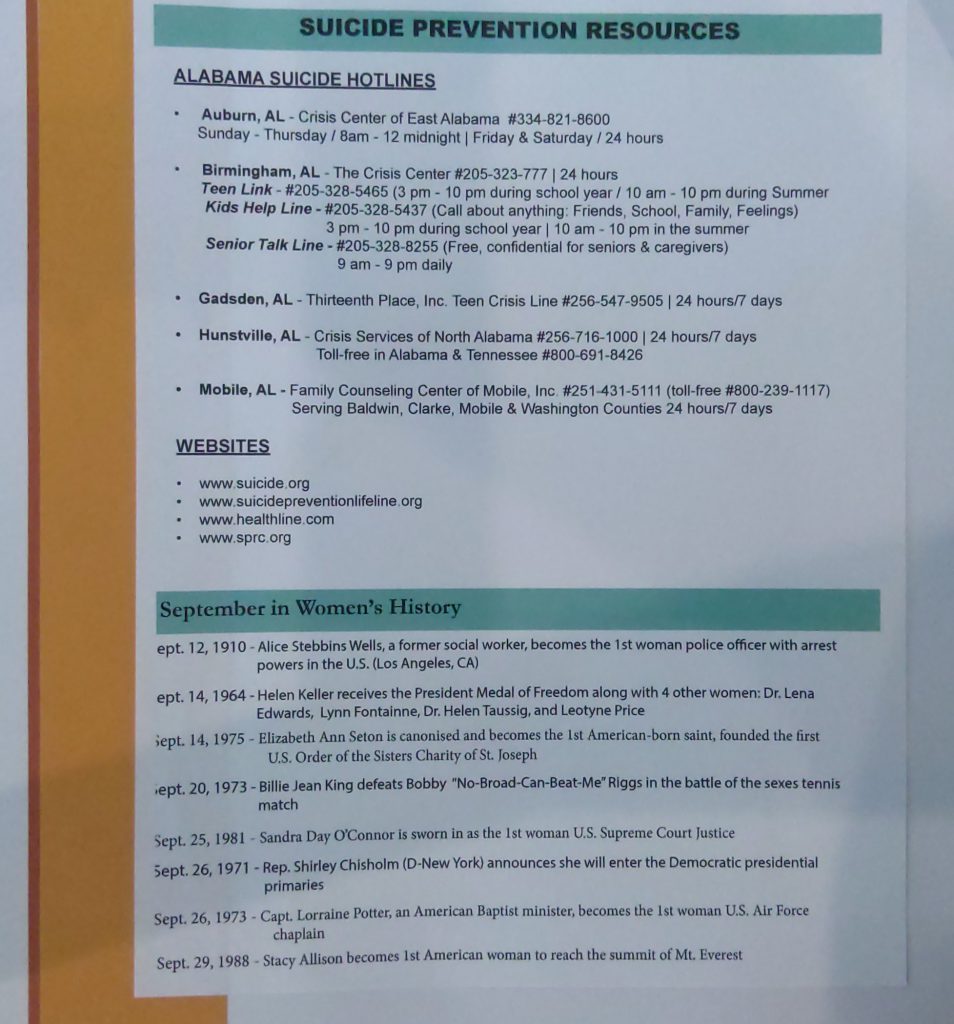 Light Horse Harry Lee Chapter Scrapbook 2020-2021 by Karen Baber - Ourboox.com