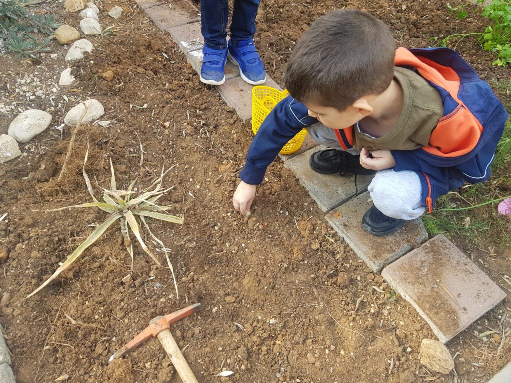 نحن وجيراننا نزرع الحديقة by faida mahajna - Ourboox.com