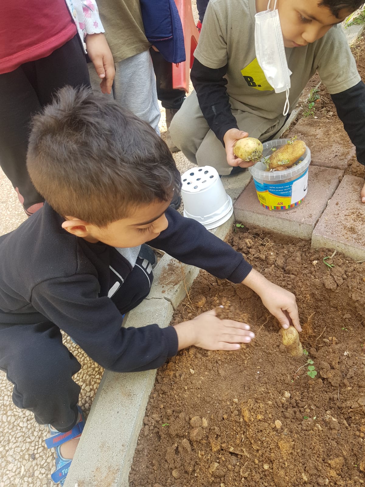 نحن وجيراننا نزرع الحديقة by faida mahajna - Ourboox.com