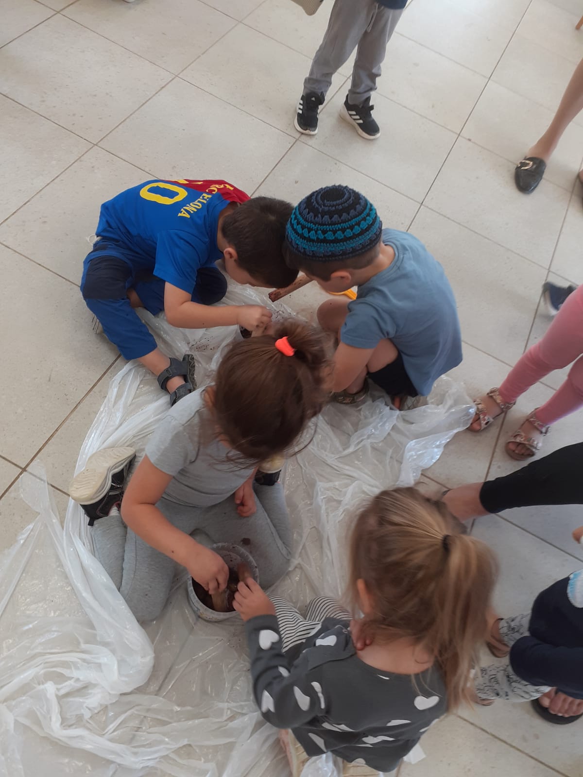 הזית by yaara - Ourboox.com