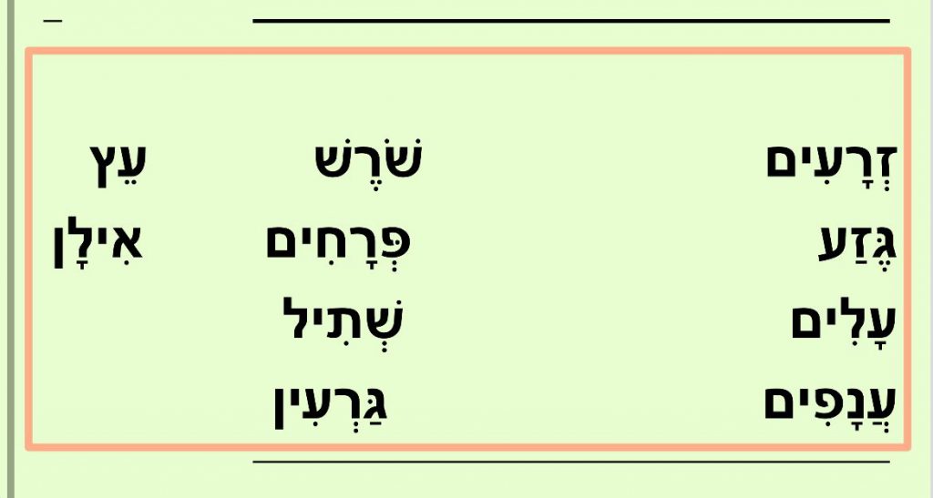 ט”ו בשבט- ליאל מזרחי ותאיר איטח by TAIR - Illustrated by ליאל מזרחי ותאיר איטח - Ourboox.com