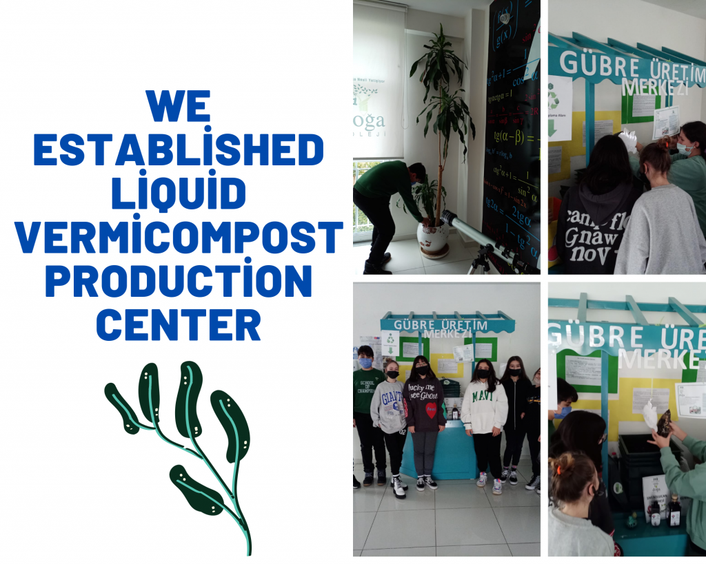 Return to Green Village December by imge yılmaz uyar - Ourboox.com