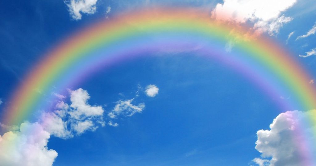 Una zucca parlante a New York (Sofia Zanotti) by Terza B. - Illustrated by Sofia Zanotti - Ourboox.com