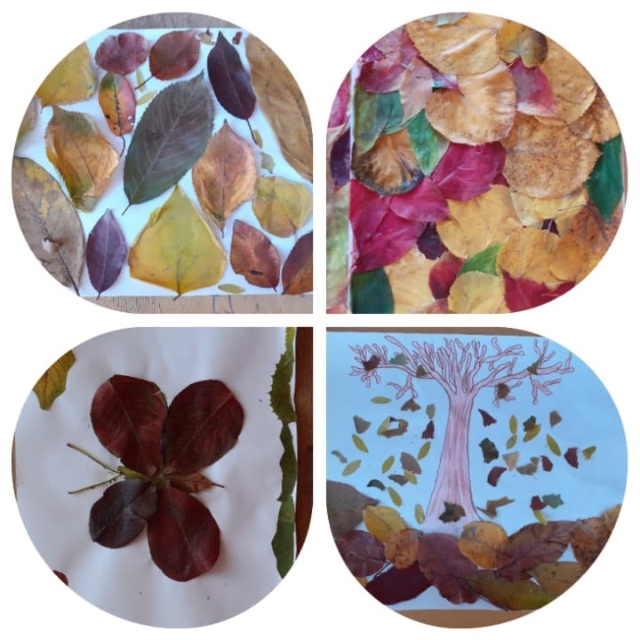 Project “ I am reading, learning and exploring” – eTwinning by Pîrlog Nicoleta - Illustrated by Pîrlog Nicoleta - Ourboox.com