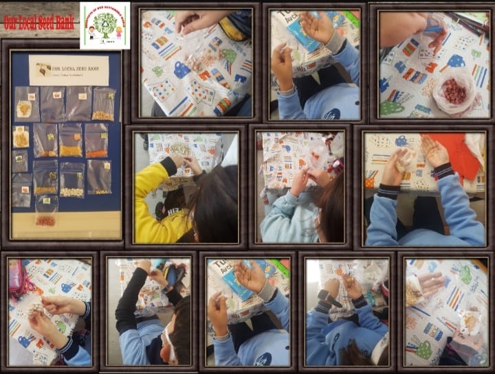 “ARCHITECTS OF OUR SUSTAINABLE WORLD” PROJECT DECEMBER E-BOOK STUDY by İsmail ÇİÇEK - Illustrated by eTwinning project - Ourboox.com